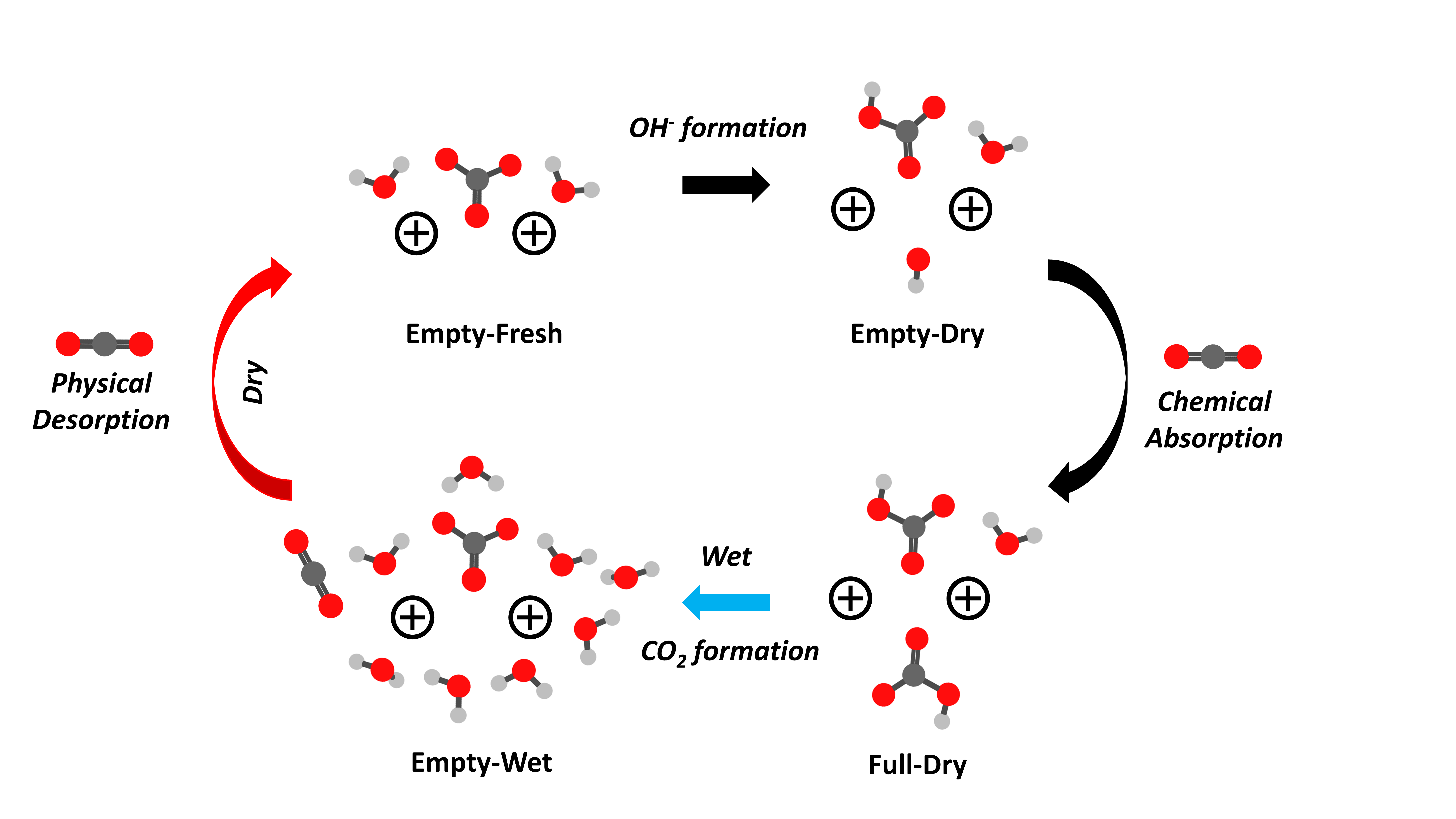 反常水解反应 Abnormal hydrolysis of ions